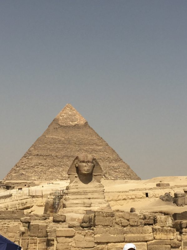 防水ステッカー　ピラミッド　エジプト　ラクダ