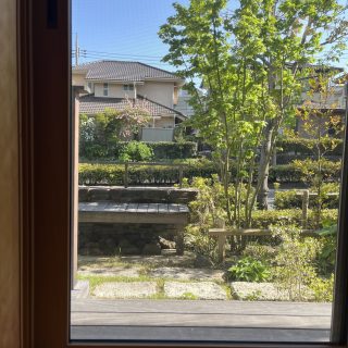 キッチン横の窓から見える庭の景色