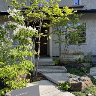 アオダモの白い花が迎えるアプローチ